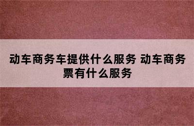 动车商务车提供什么服务 动车商务票有什么服务